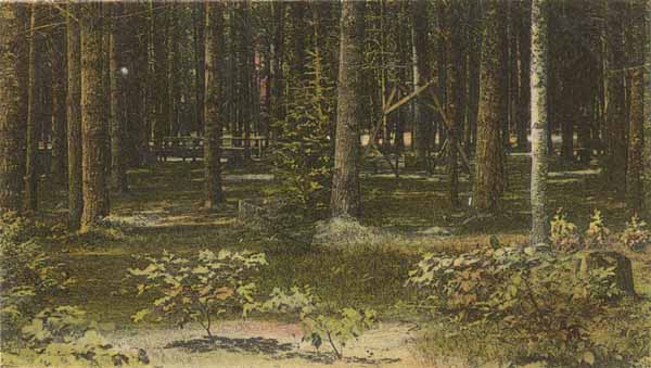 The Pines, Barber Park, Bellows Falls, Vermont